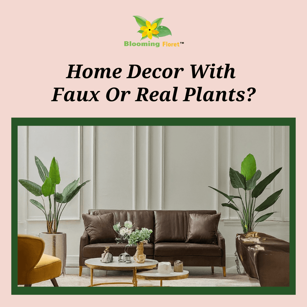 Home Decor with Faux v/s Real Plants ?