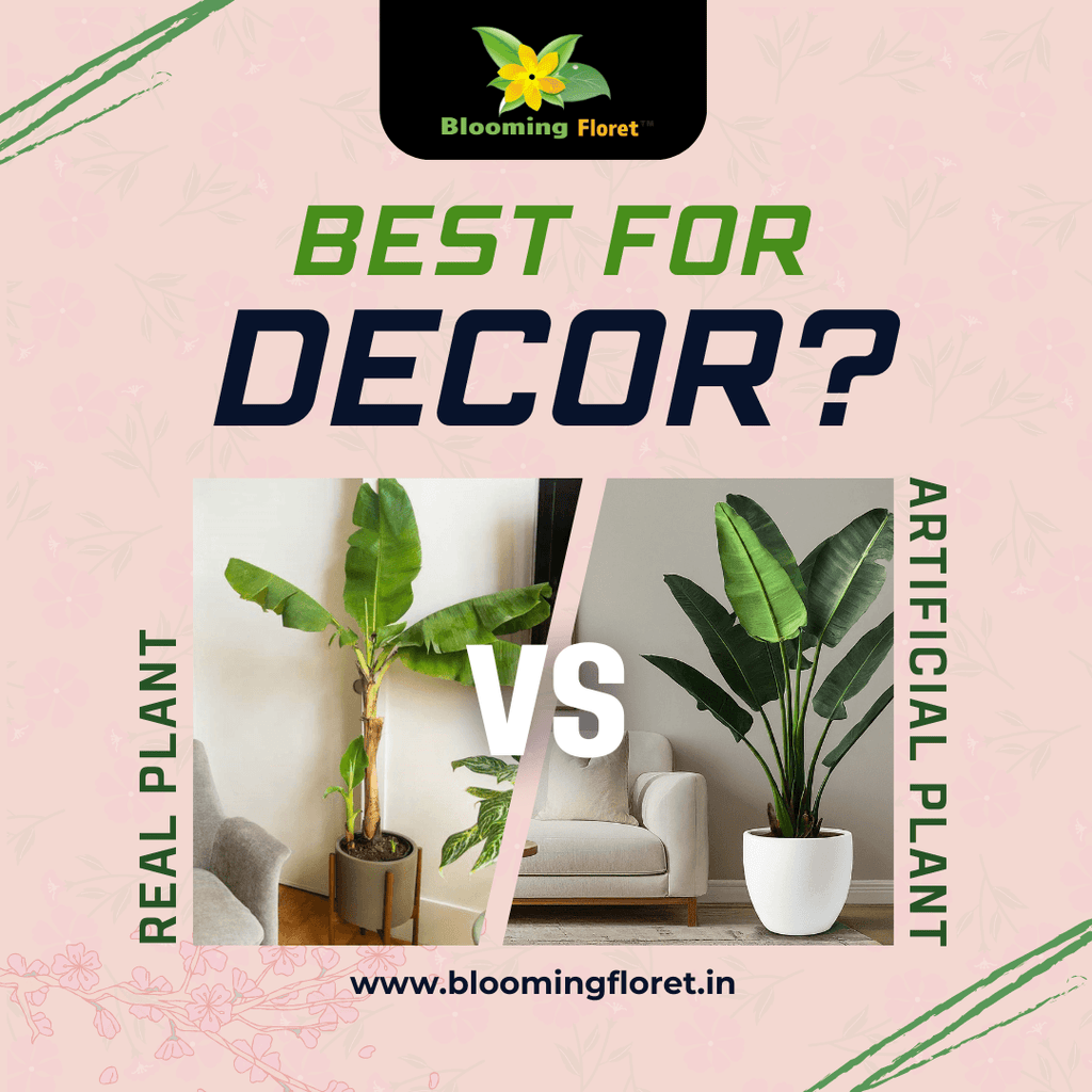 Artificial Plants Or Natural Plants! What is Better For Decorating Space?