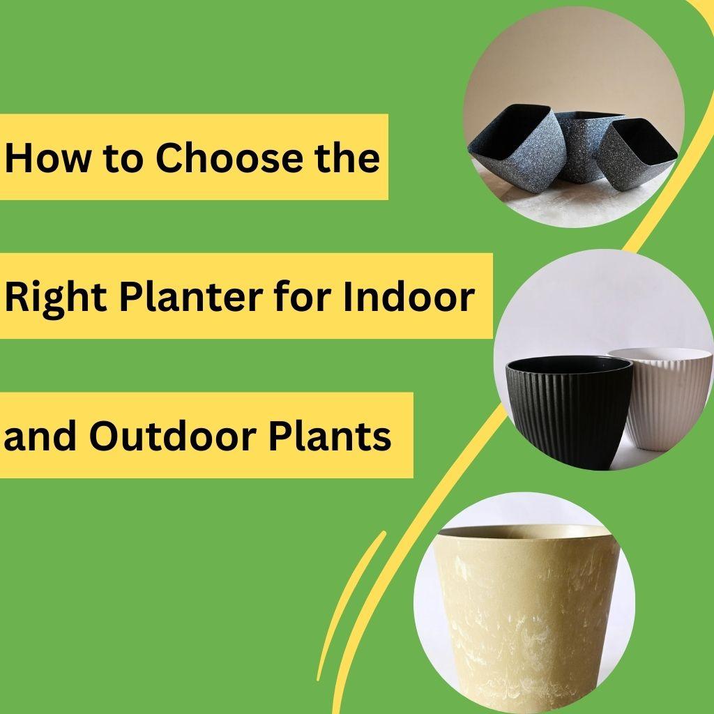 How to Choose the Right Planter for Indoor and Outdoor Plants?