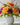 Artificial Flowers Collection