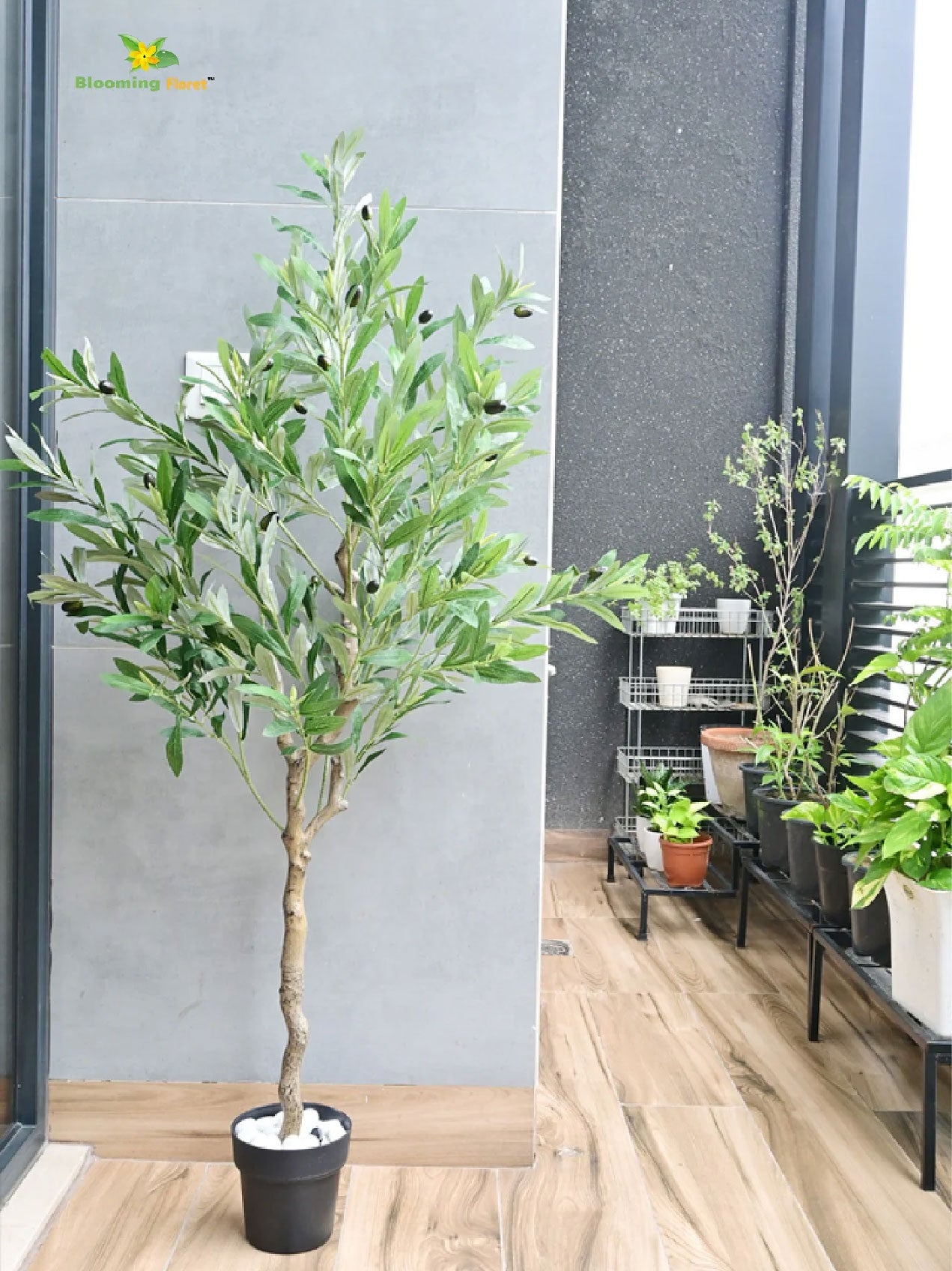 Overleaf Faux Olive Tree - 145 cm