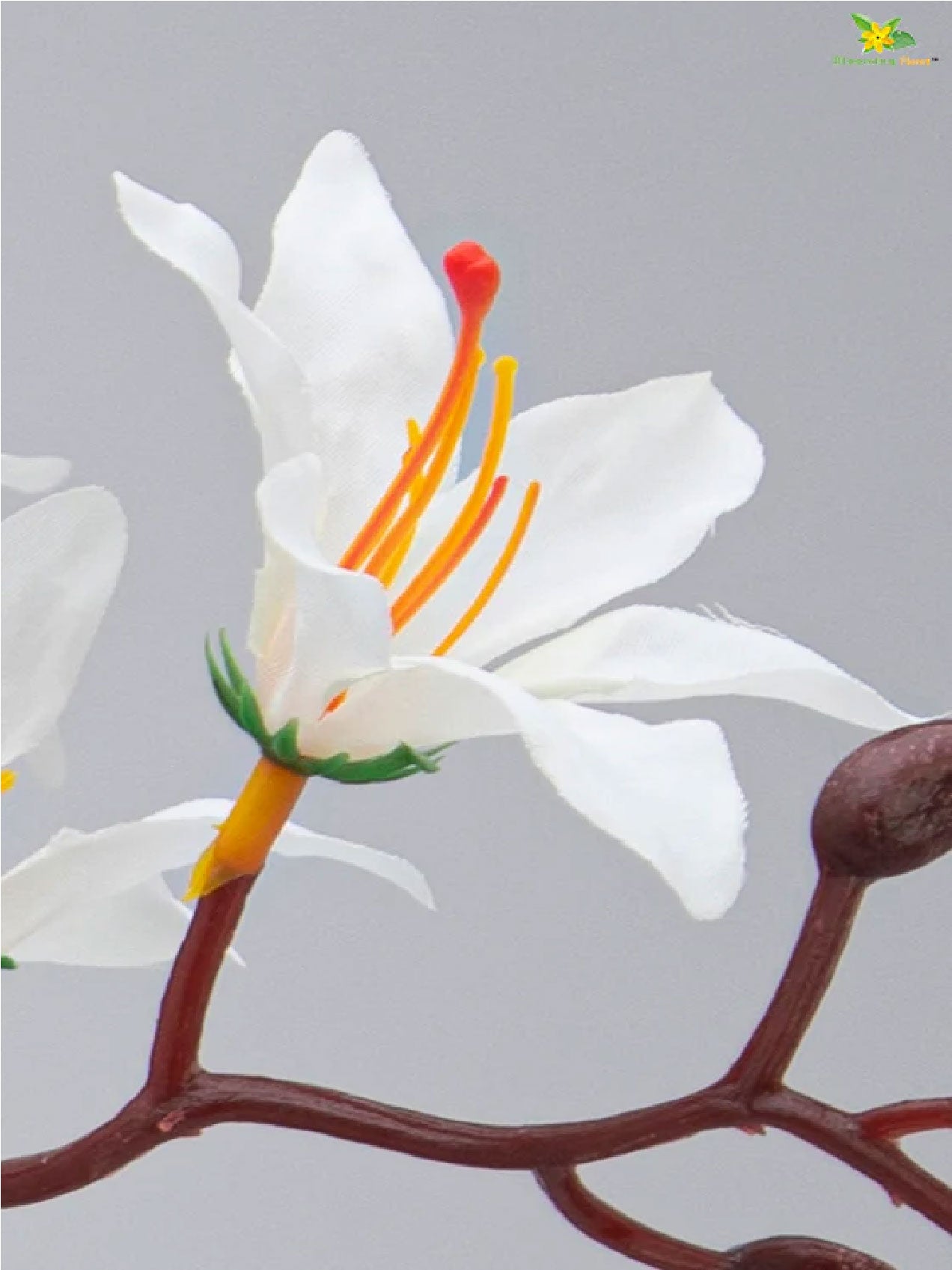 Artificial Cymbidium Orchid Bunch Flower - White