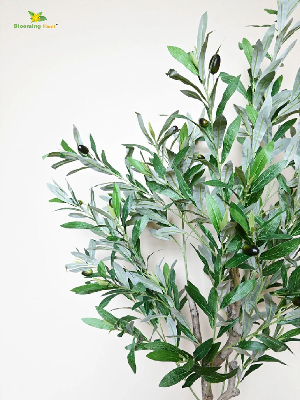 Overleaf Faux Olive Tree - 145 cm