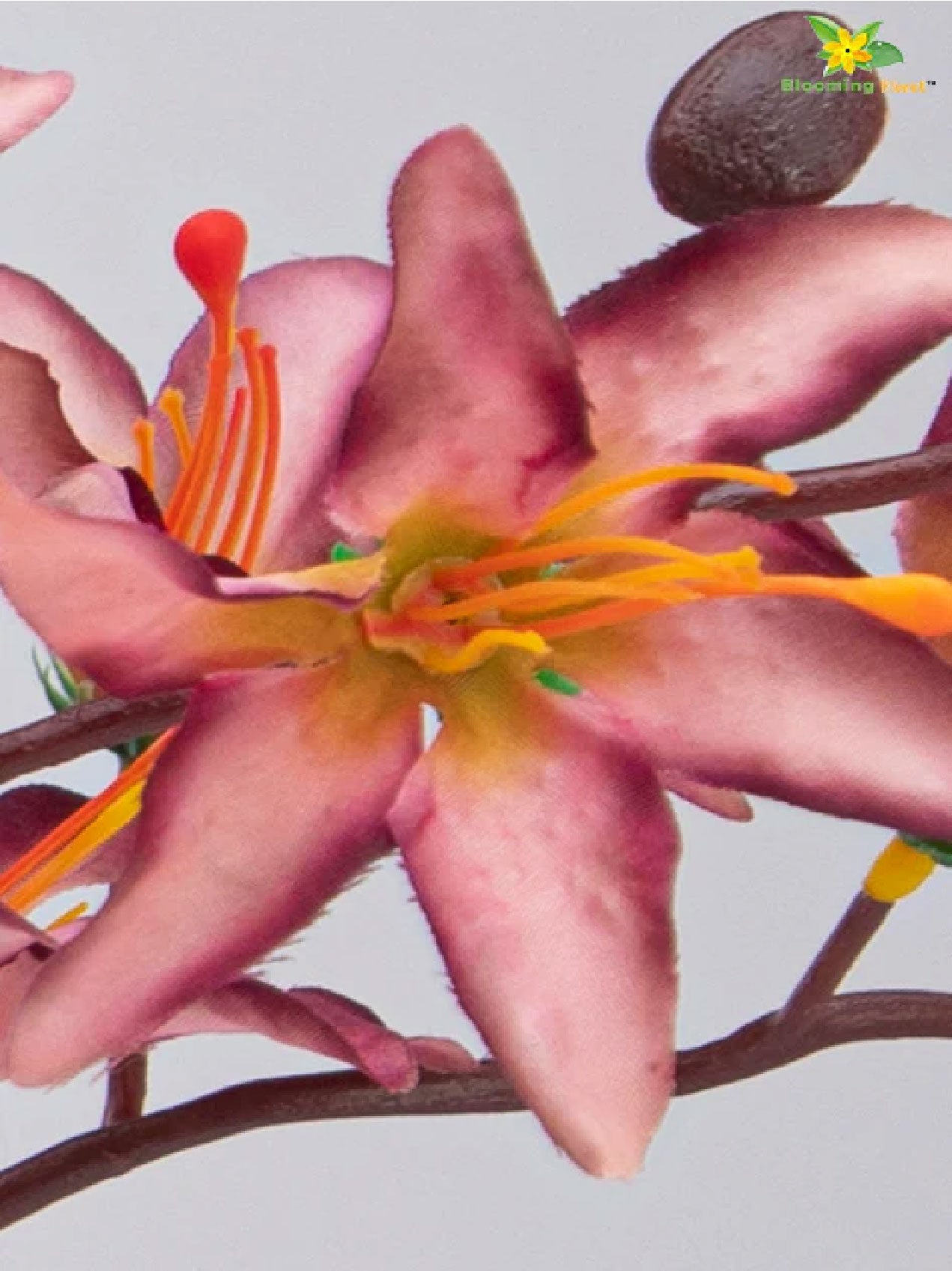 Artificial Cymbidium Orchid Bunch Flower - Magenta