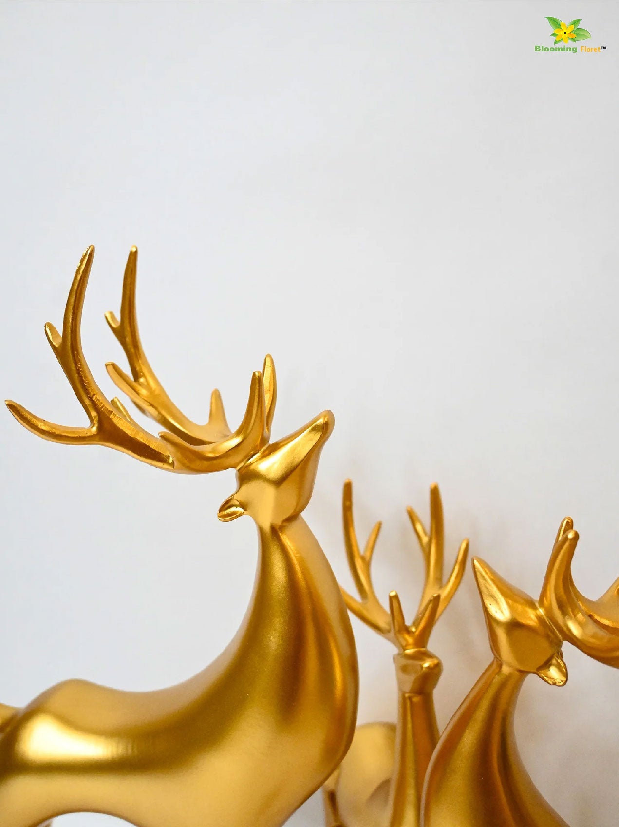 Charming Reindeer Décor Collection | Set of 3