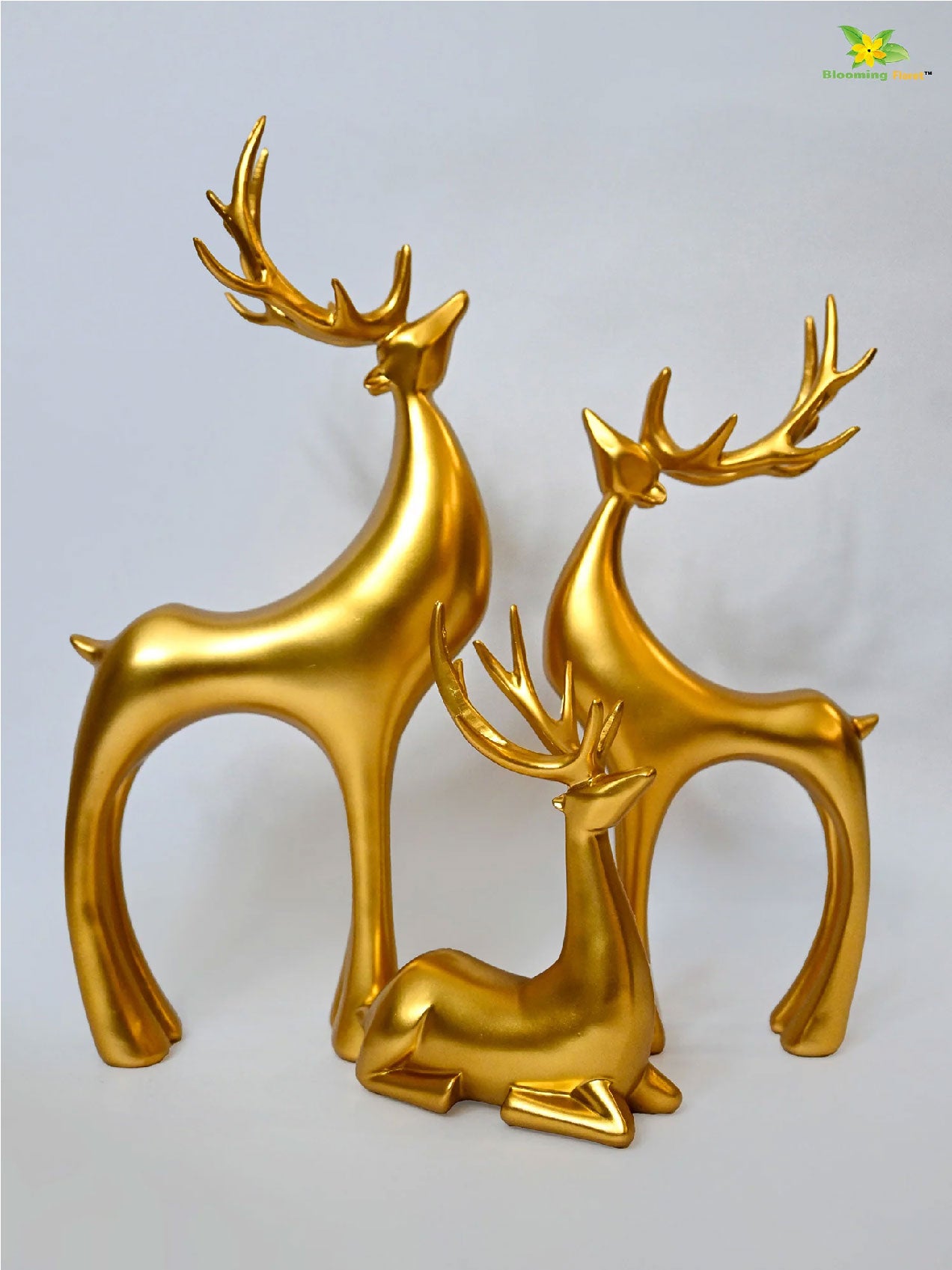 Charming Reindeer Décor Collection | Set of 3