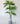 Artificial Areca Palm Plant for Decor 3 Stem 27 Leaves with Basic Pot | 109.2 cm