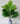  Artificial Areca Palm Plant for Decor | 21 Leaves with Basic Pot | 76.2 cm