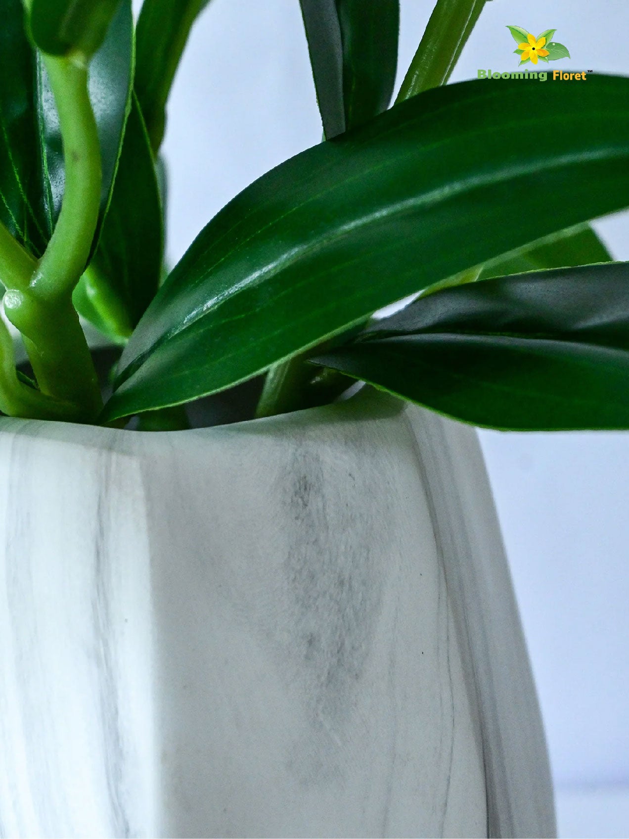 Pentagon Ceramic Marble Vase