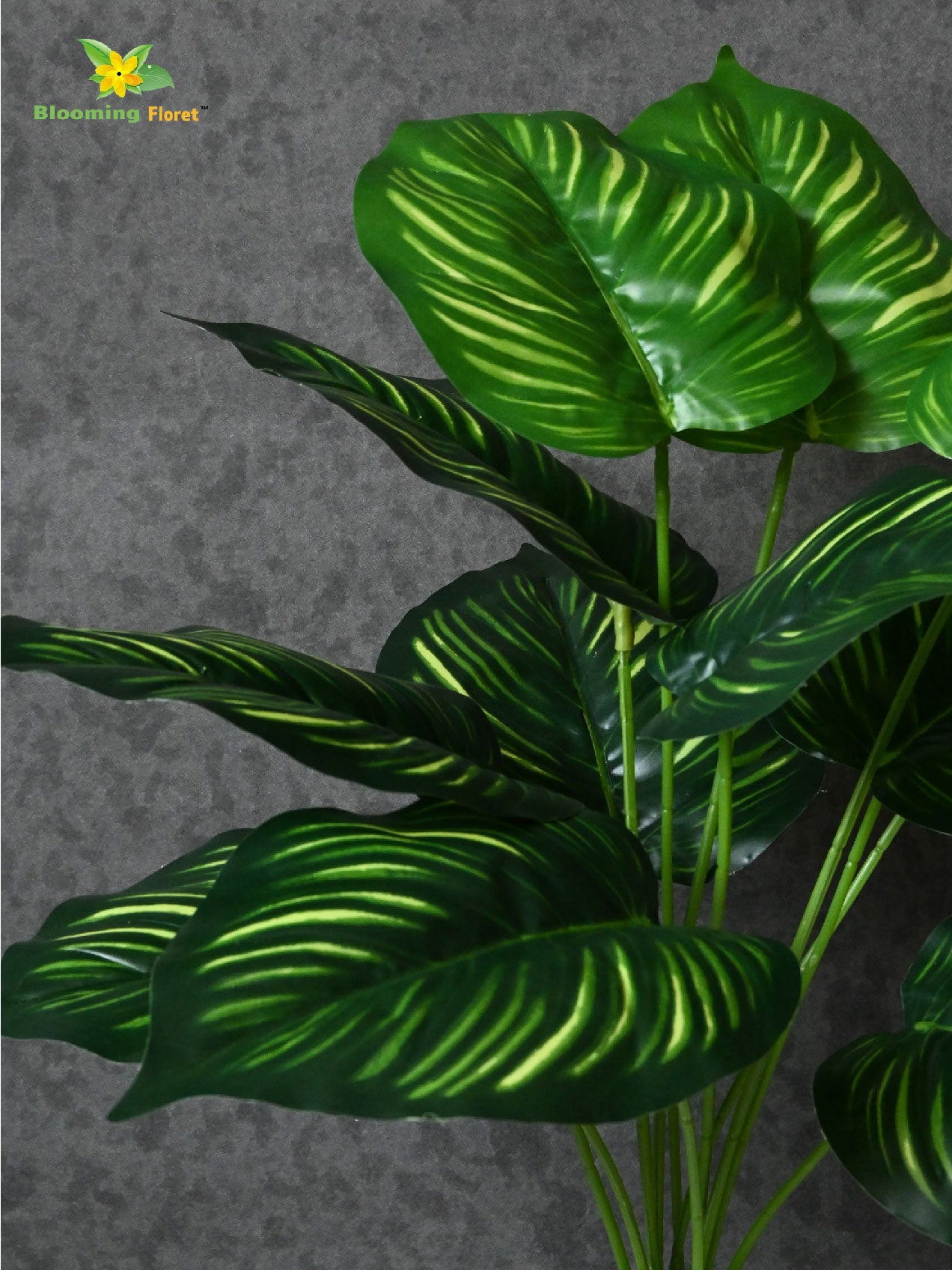 Artificial Calathea Orbifolia Plant – 65 cm, 12 Leaves, with Basic Pot
