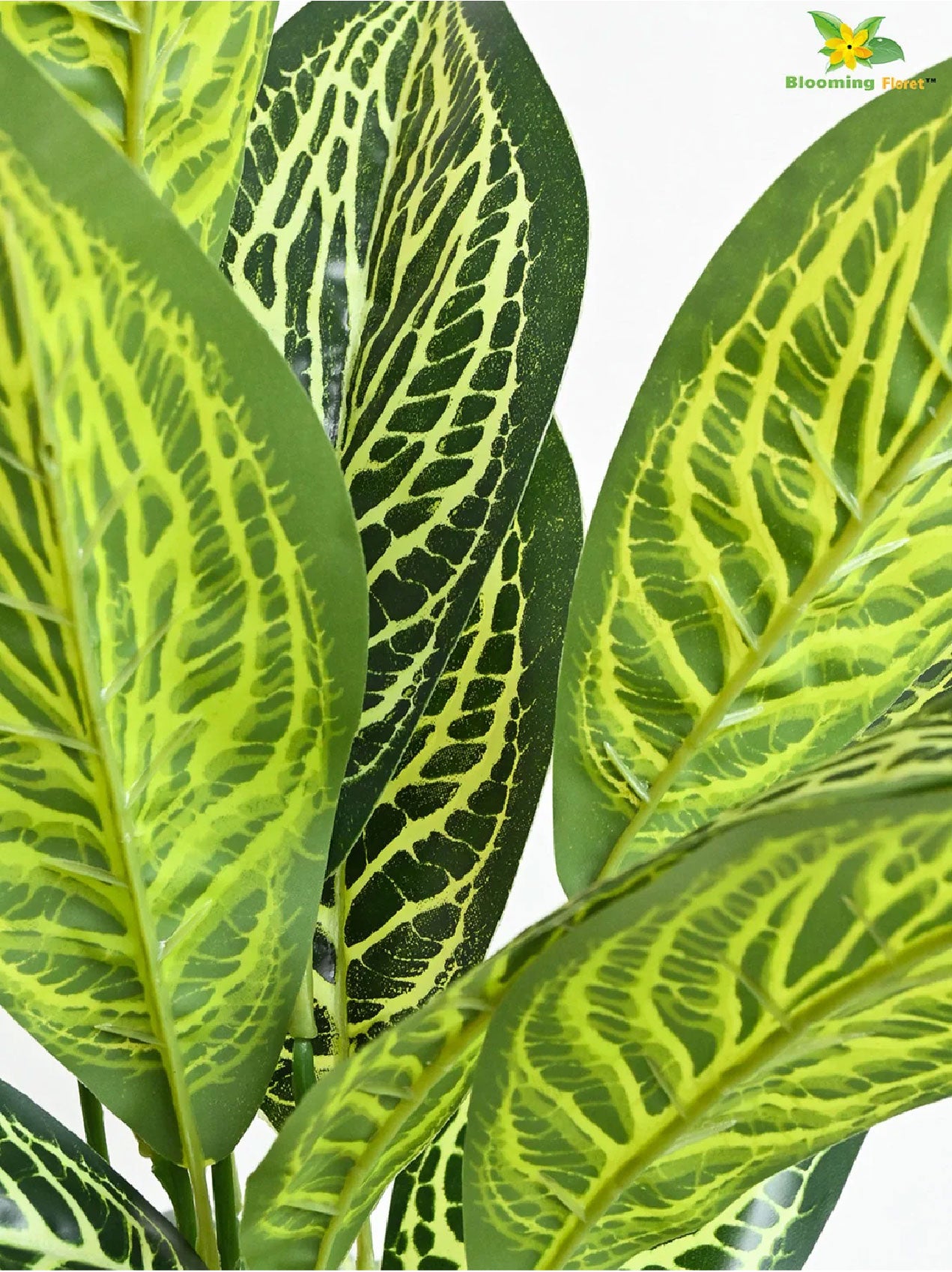 Artificial Ivory White Croton Plant – 71.1 cm, 26 Leaves, with Pot