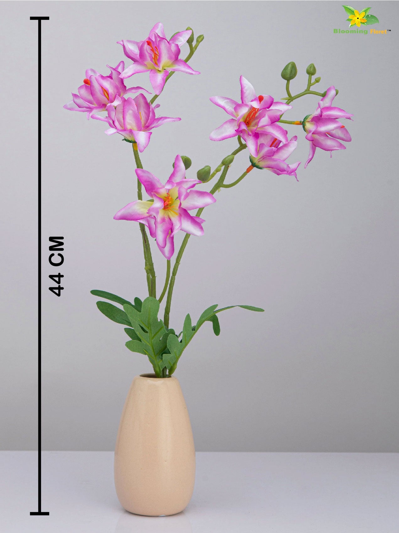 Vibrant Blooms Orchid Bauhinia Bunch