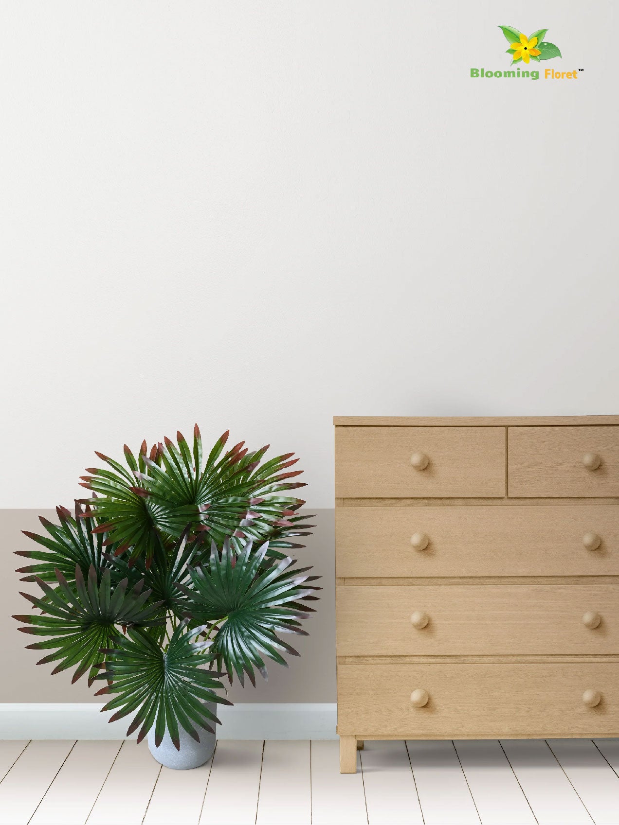 Tropical Breeze Fan Palm Plant