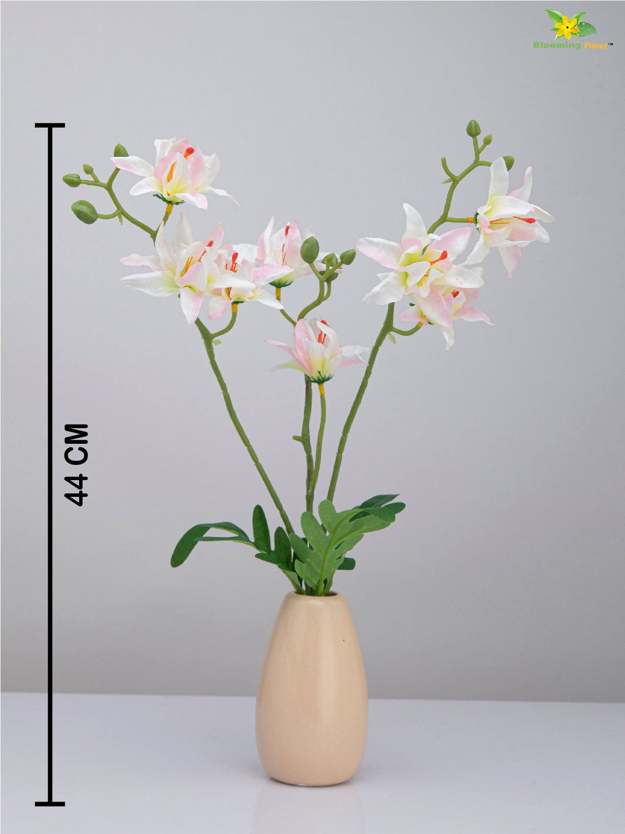 Vibrant Blooms Orchid Bauhinia Bunch