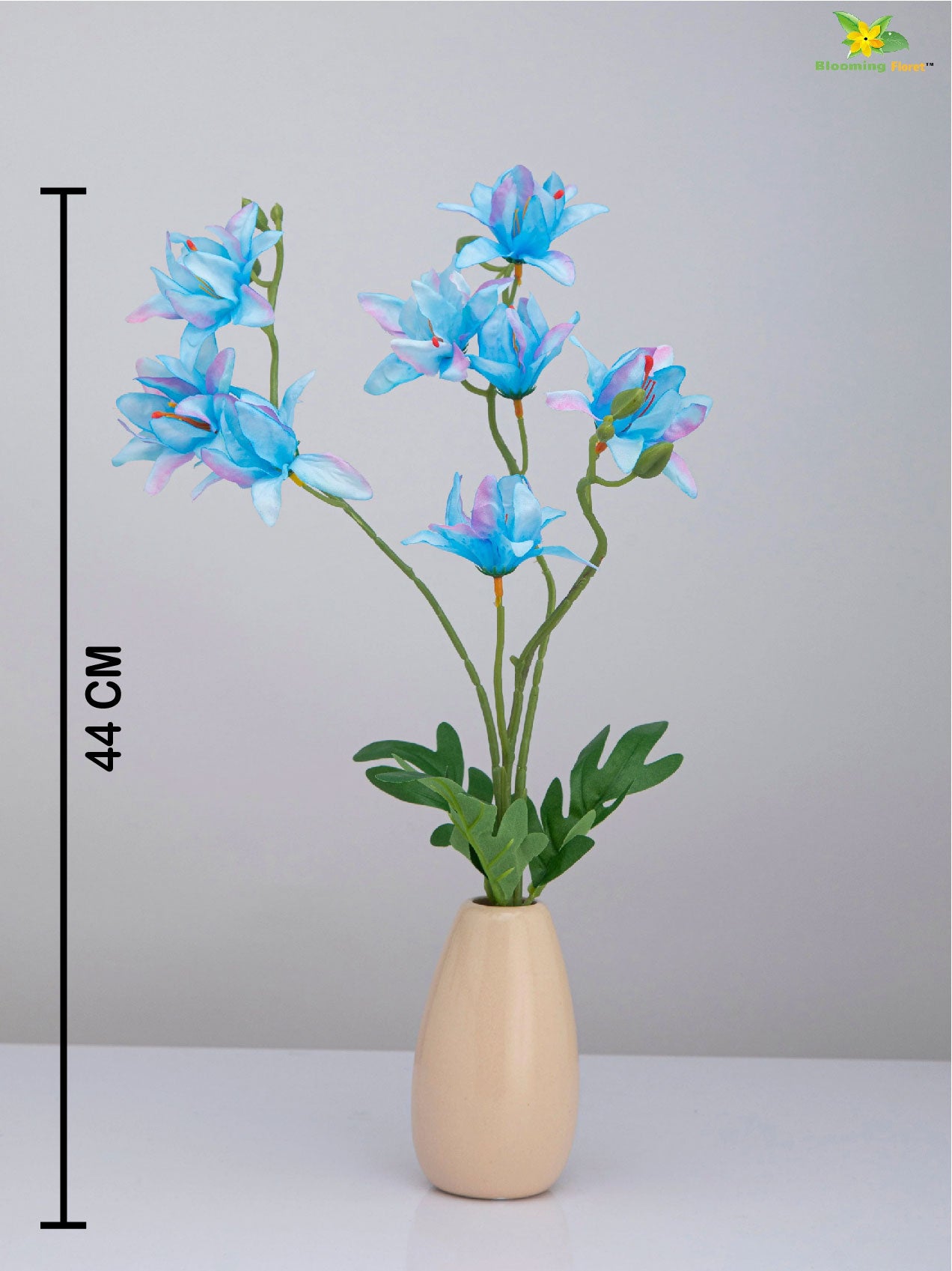 Vibrant Blooms Orchid Bauhinia Bunch