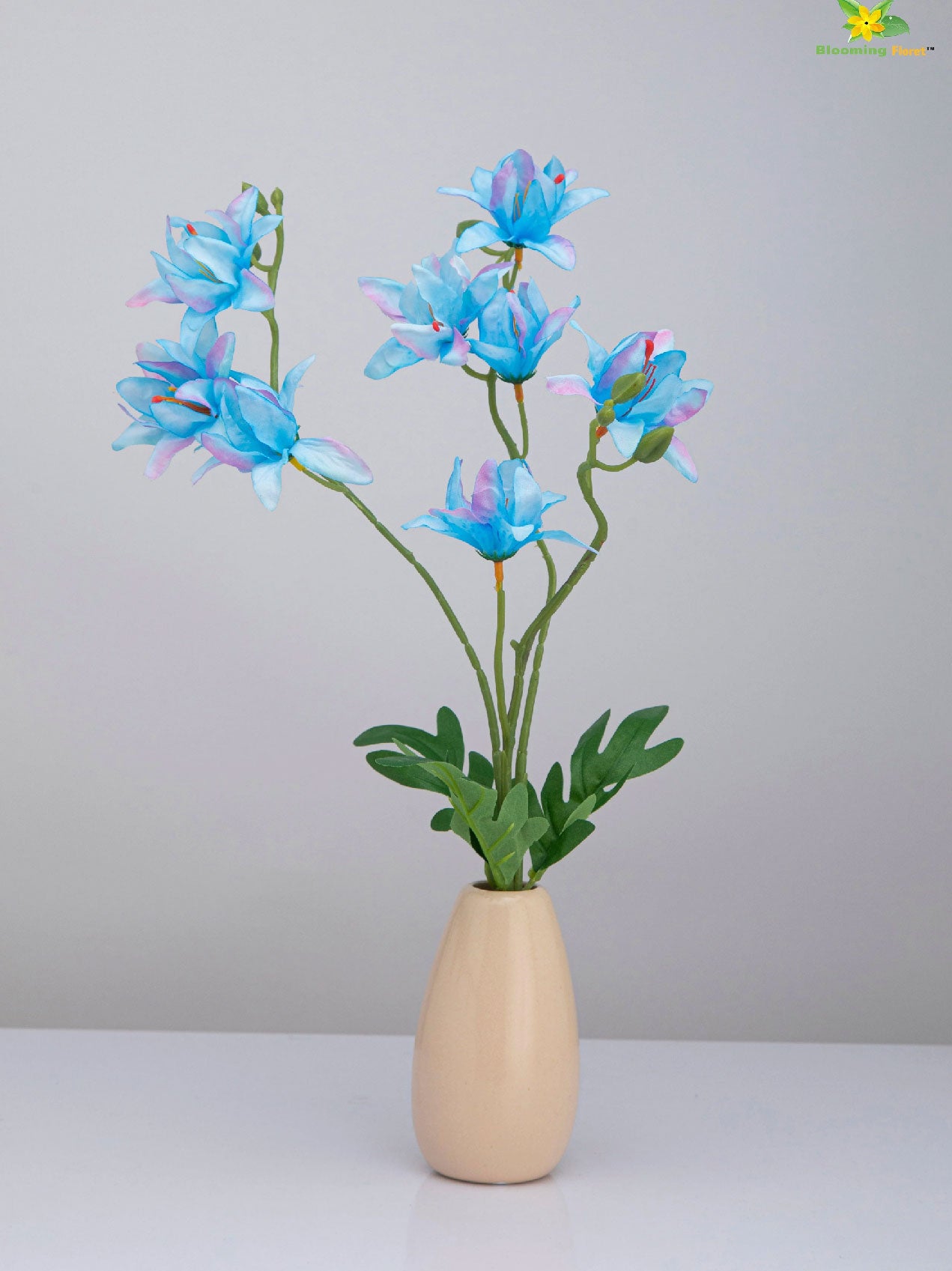 Vibrant Blooms Orchid Bauhinia Bunch