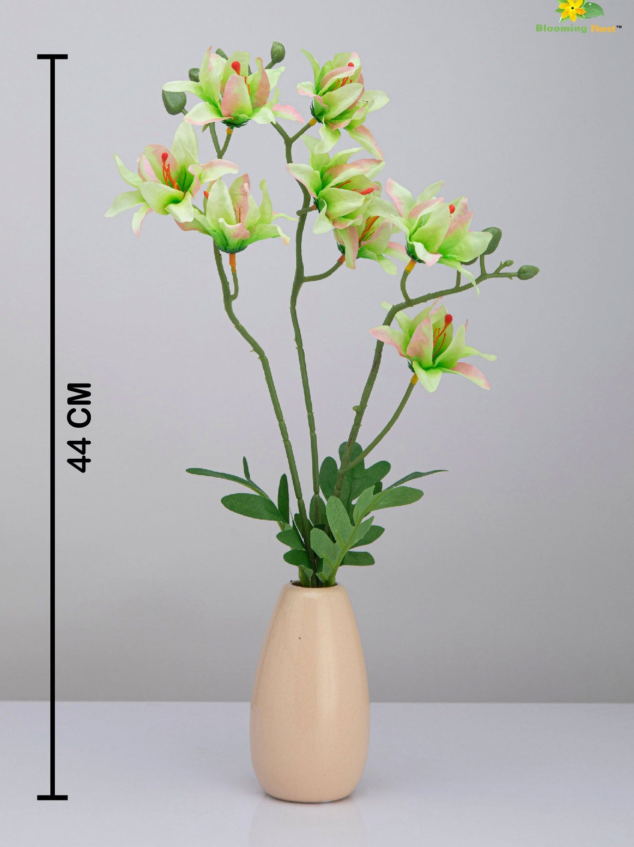 Vibrant Blooms Orchid Bauhinia Bunch