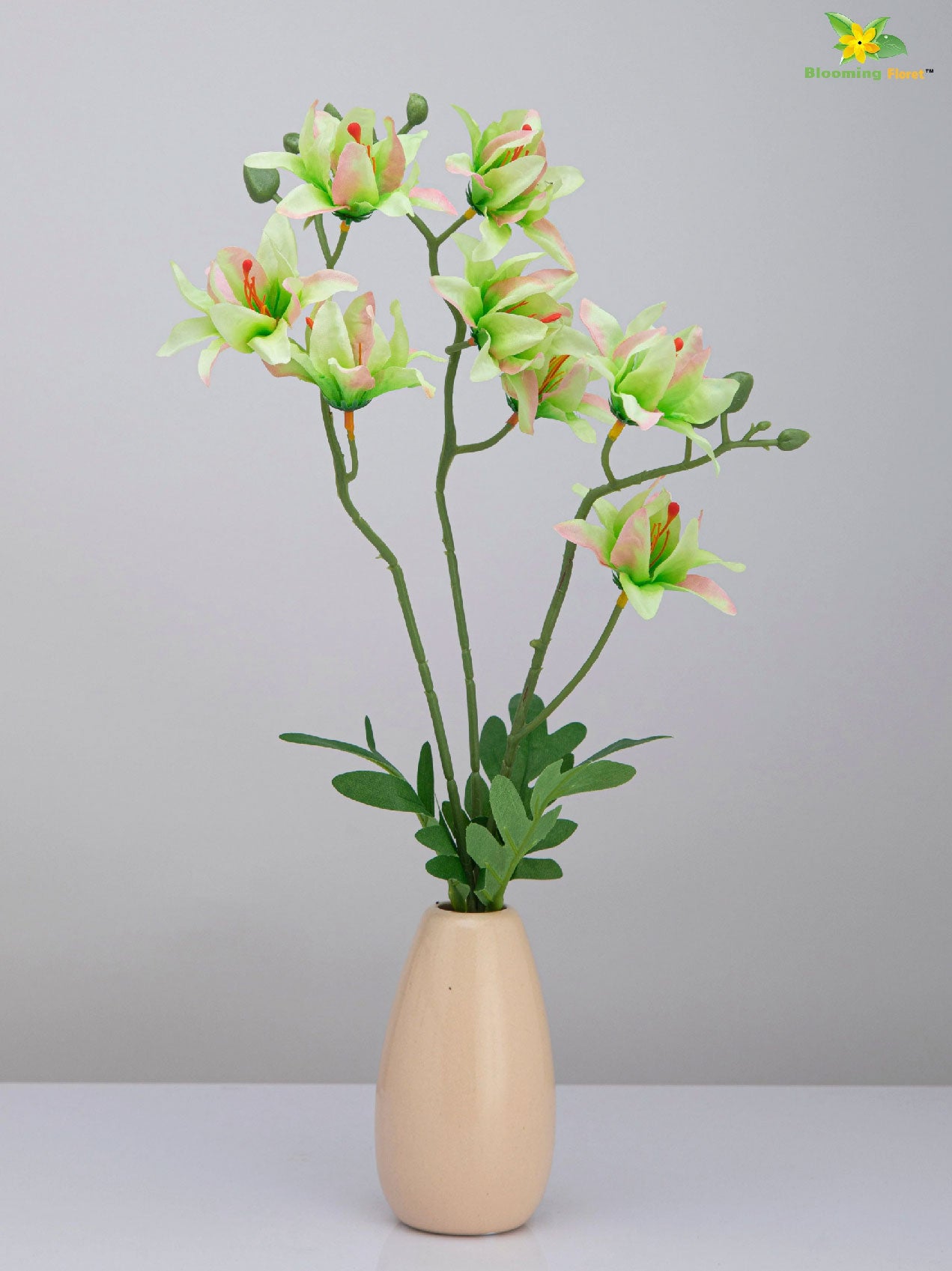 Vibrant Blooms Orchid Bauhinia Bunch