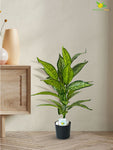 Artificial Ivory White Croton Plant – 71.1 cm, 26 Leaves, with Pot