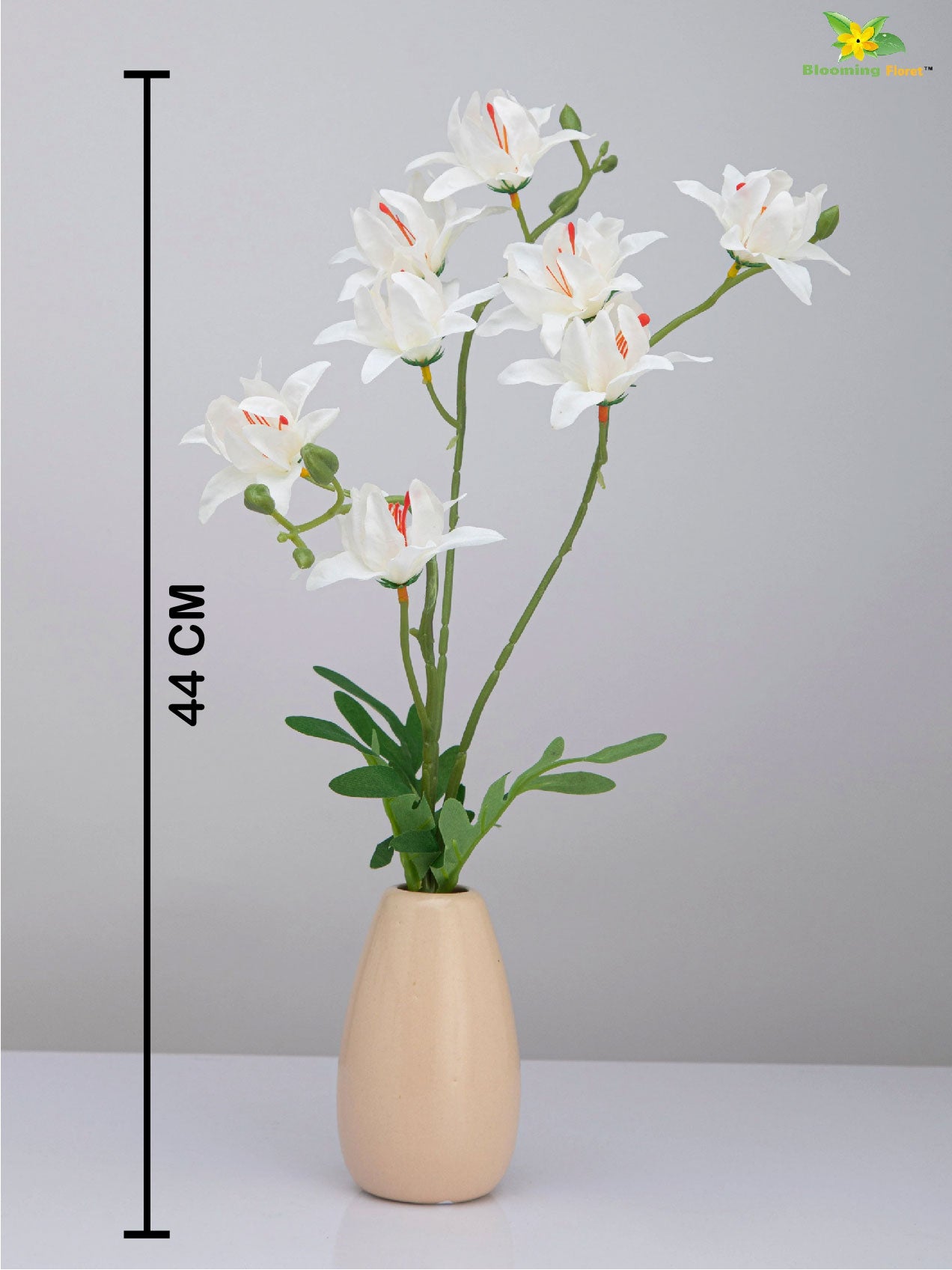 Vibrant Blooms Orchid Bauhinia Bunch