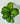 Artificial Dieffenbachia Seguine Plant For Decor | 15 Leaves with Basic Pot | 60.9 cm