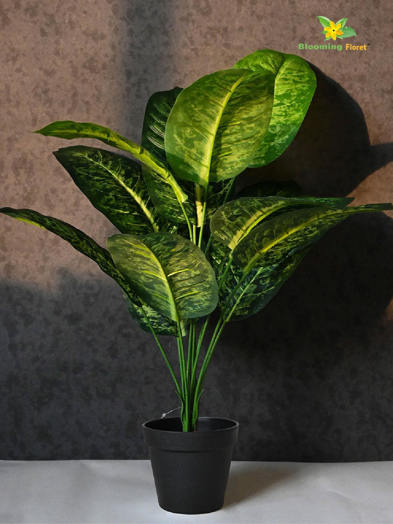 Artificial Dieffenbachia Plant – 63 cm, 12 Leaves, with Basic Pot