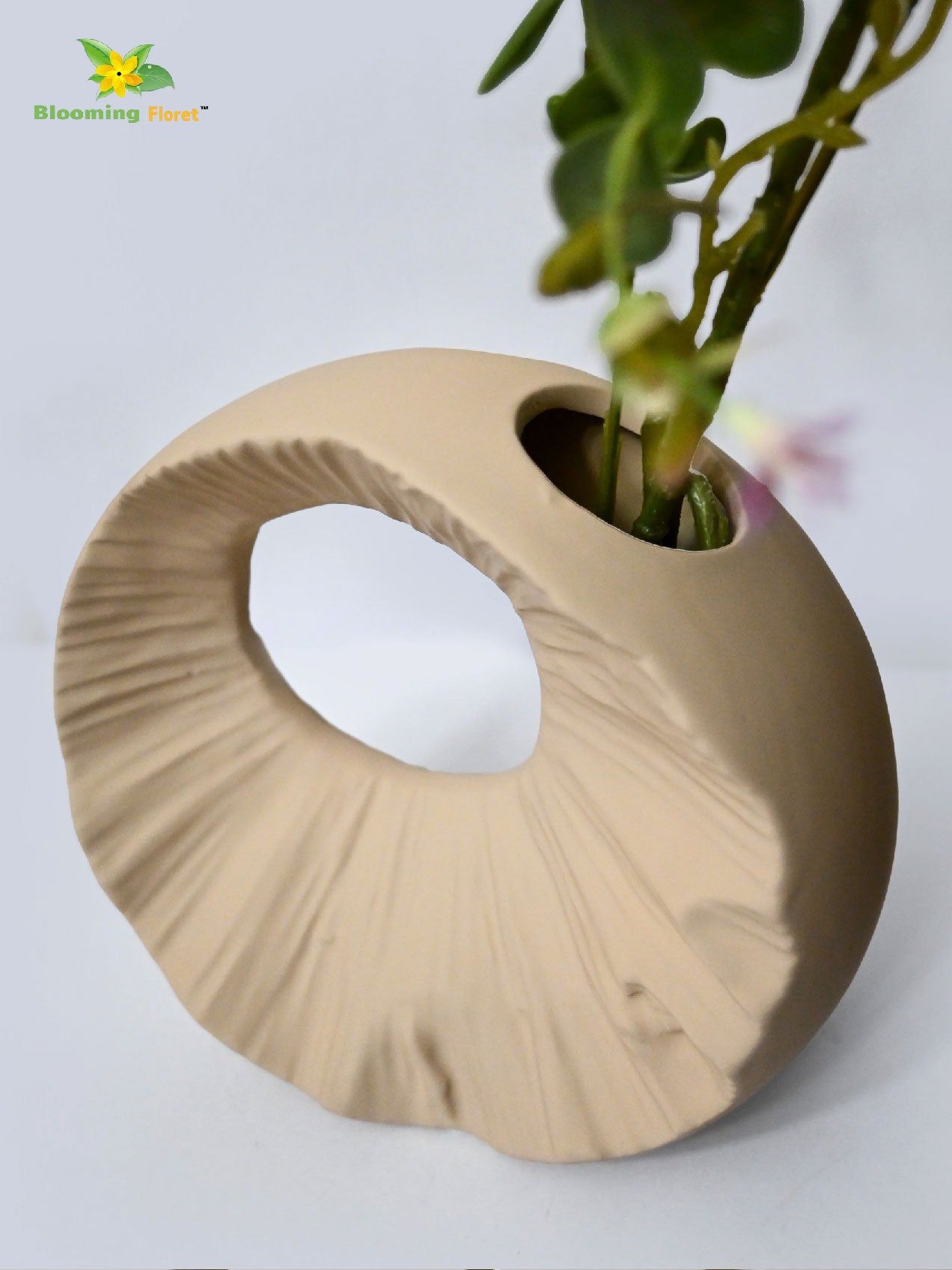 Round Hollow Ceramic Vase