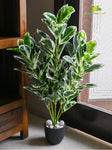 Artificial Andrew Croton Plant – 85 cm, 104 Leaves, with Basic Pot