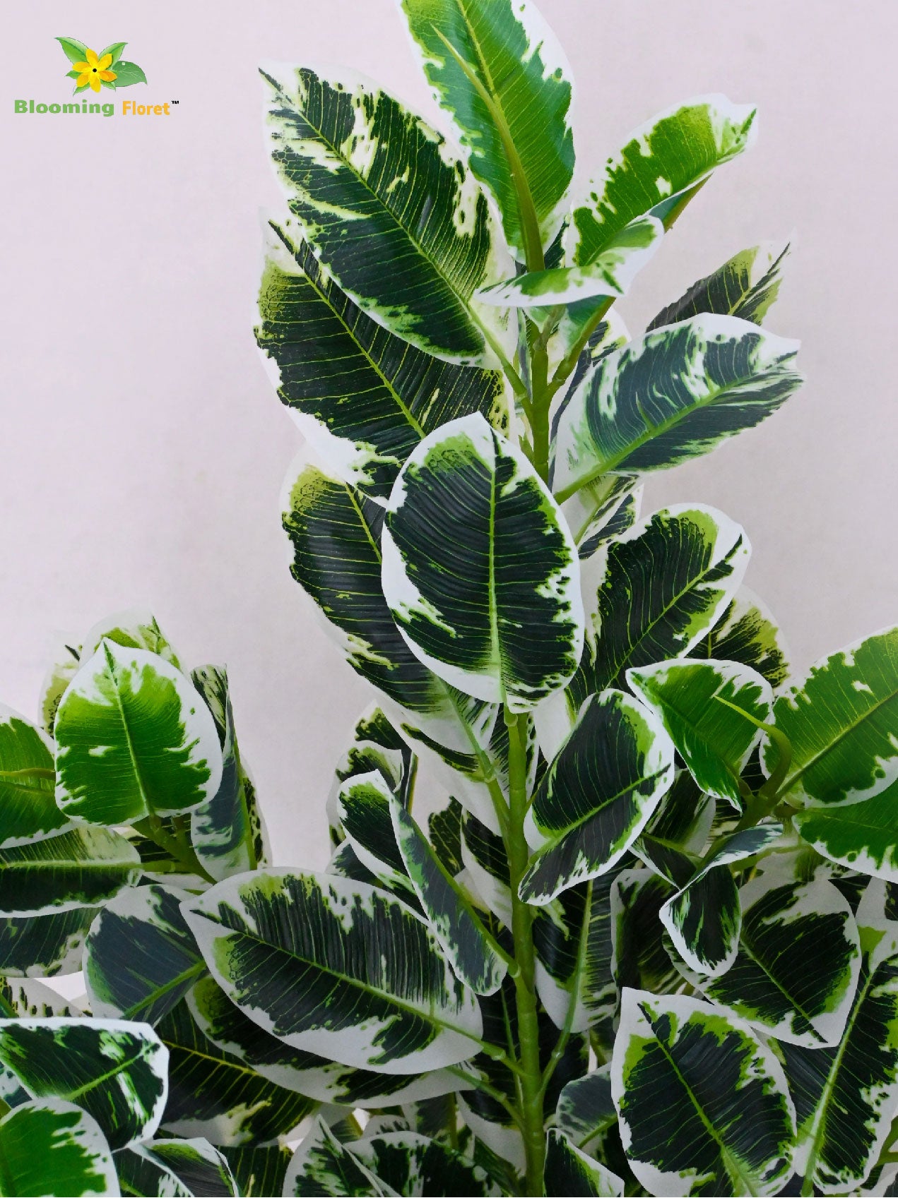 Artificial Andrew Croton Plant – 85 cm, 104 Leaves, with Basic Pot