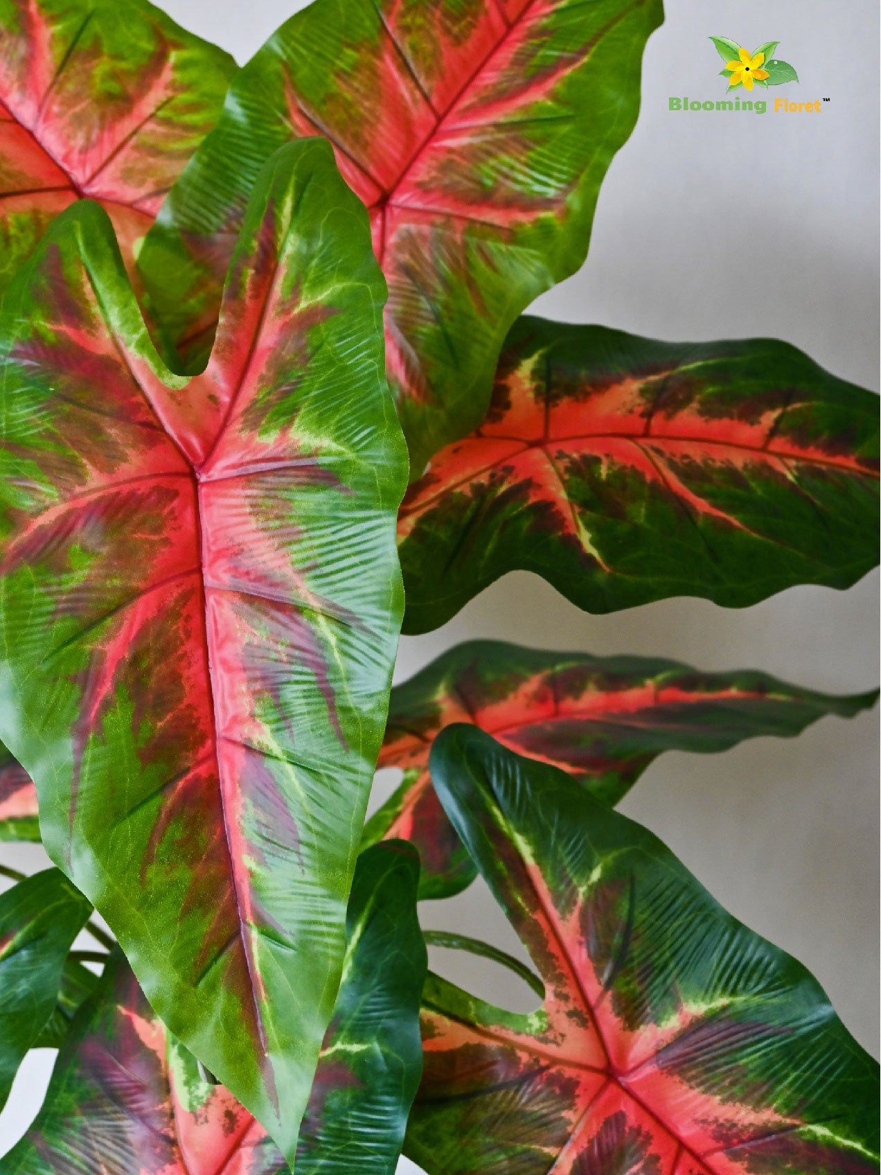 Artificial Red Patched Caladium Plant – 78 cm, 12 Leaves, with Basic Pot