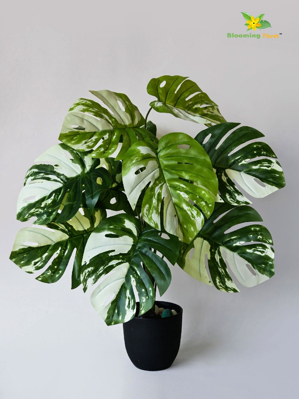 Artificial Monstera deliciosa Plant – 78 cm, 12 Leaves, with Basic Pot