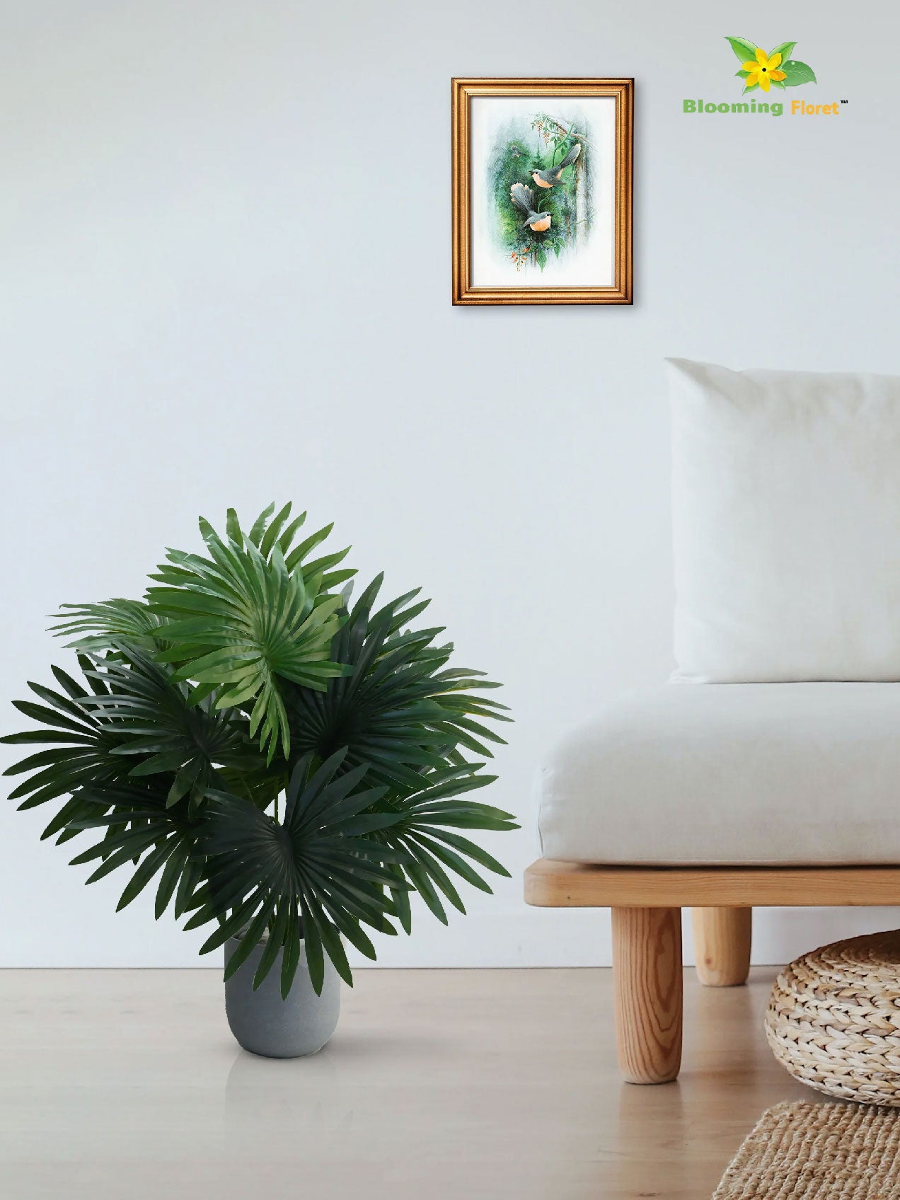 Tropical Breeze Fan Palm Plant