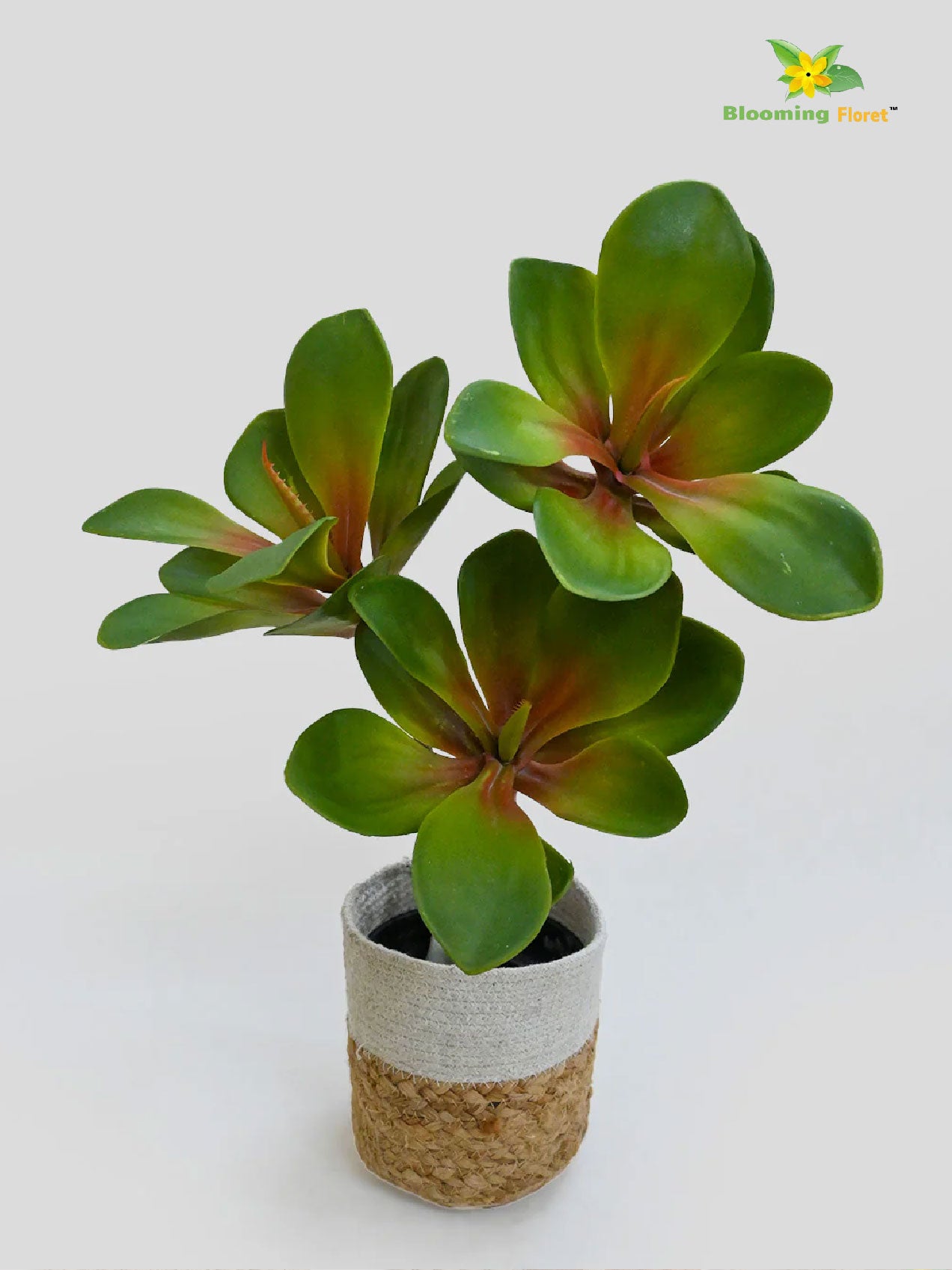 Artificial Kalanchoe Pick Plant For Decor 58.4 cm- 28 Light Green Leaves With Basic Pot