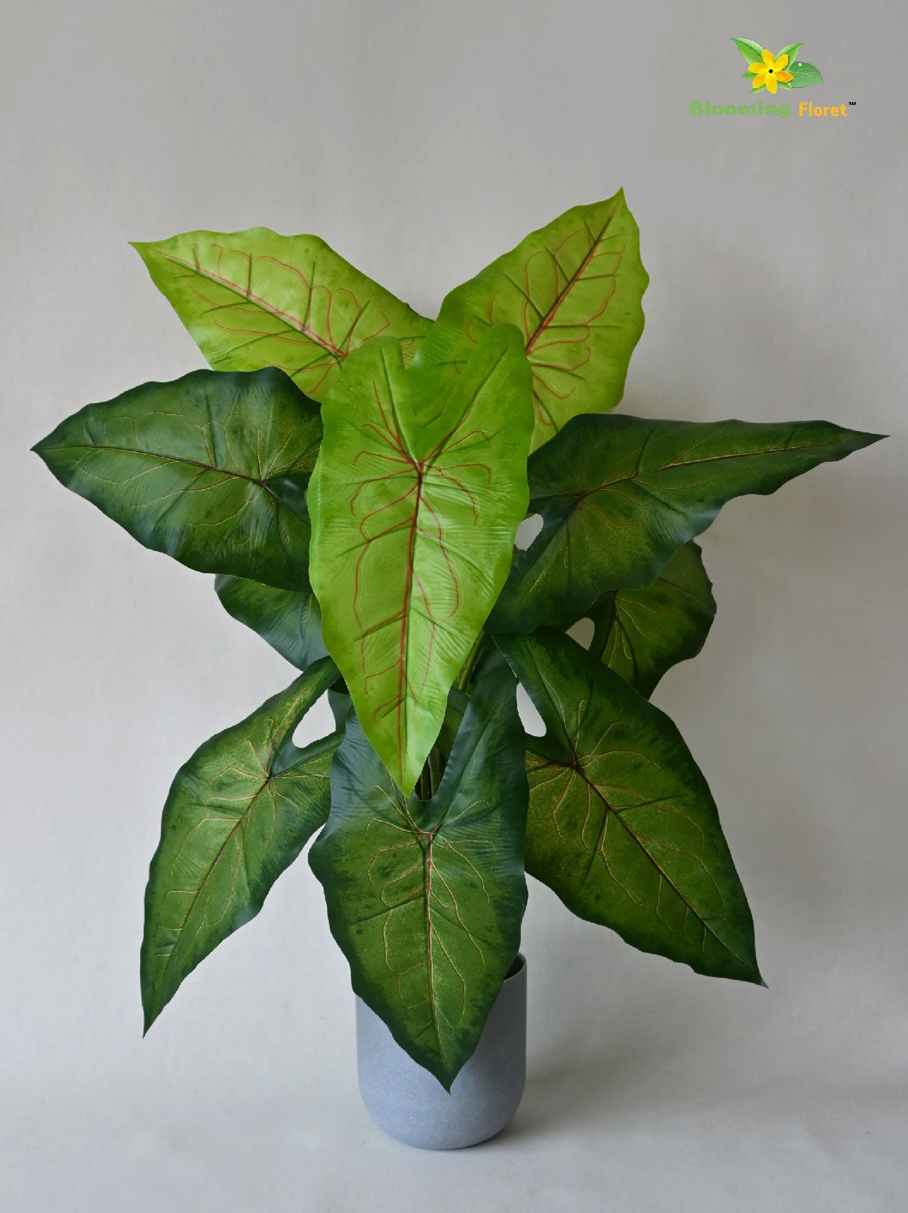 Artificial Caladium Plant – 78 cm, 12 Green Leaves, with Basic Pot