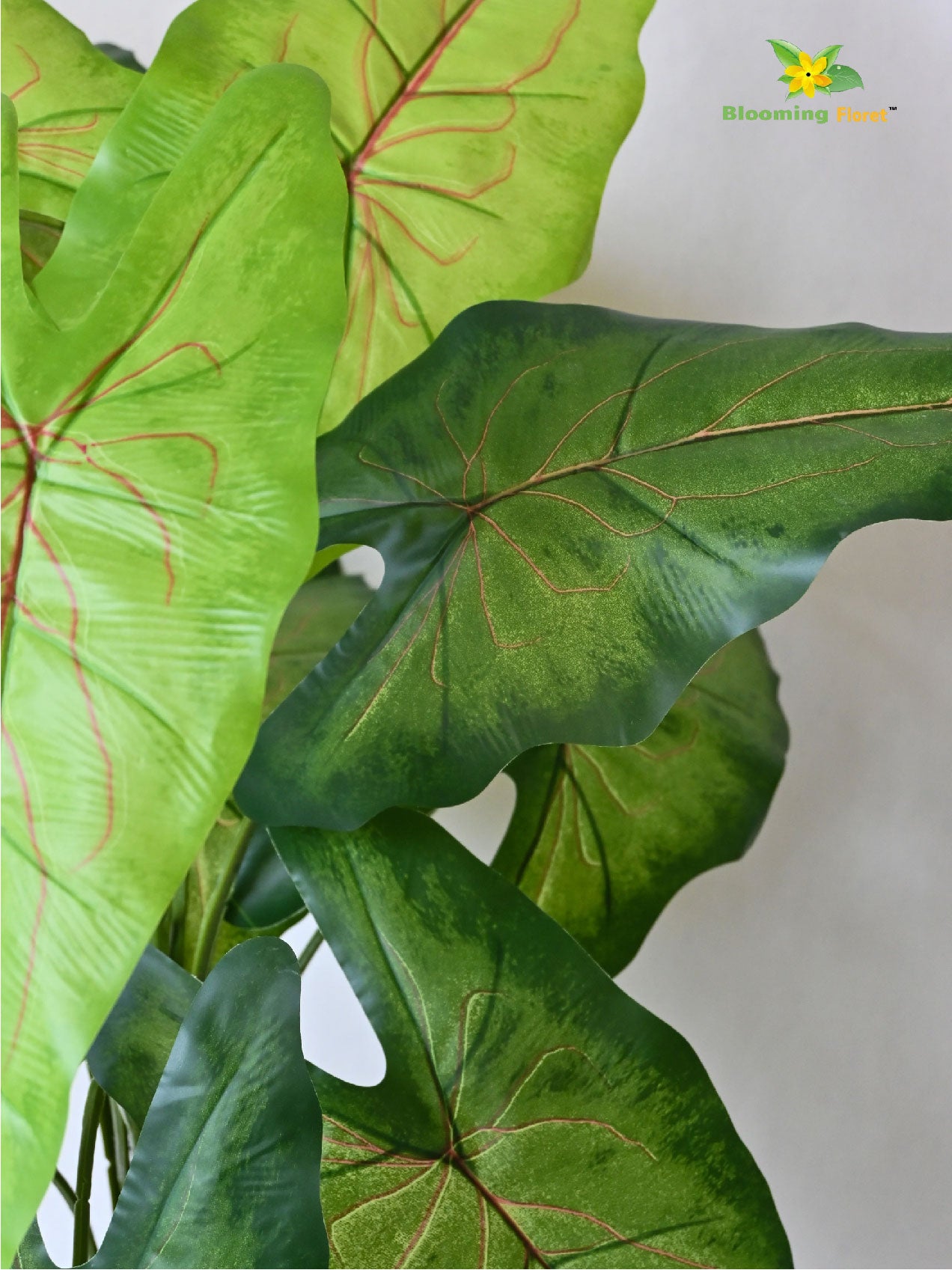 Artificial Caladium Plant – 78 cm, 12 Green Leaves, with Basic Pot