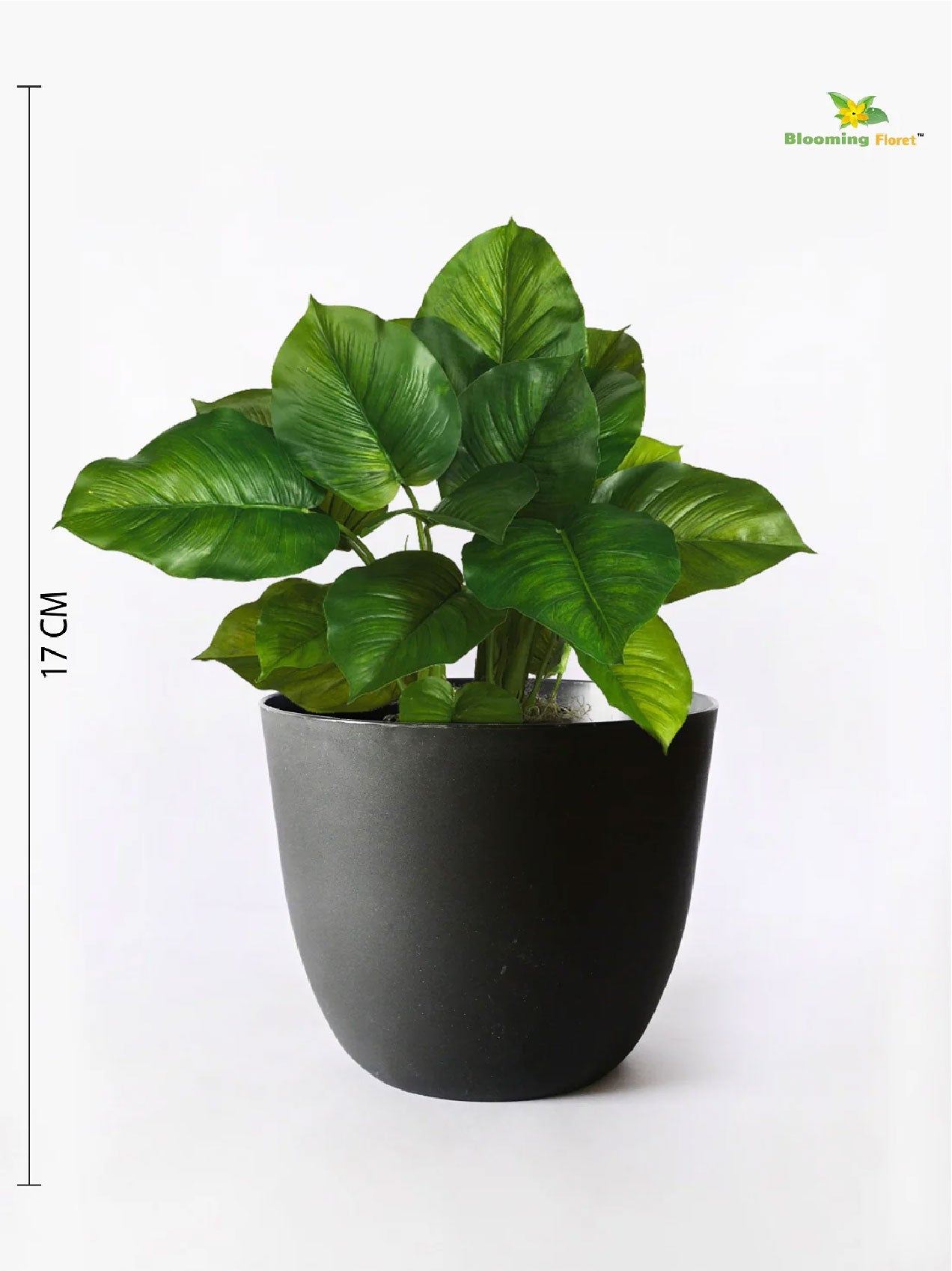 Black Round Planter