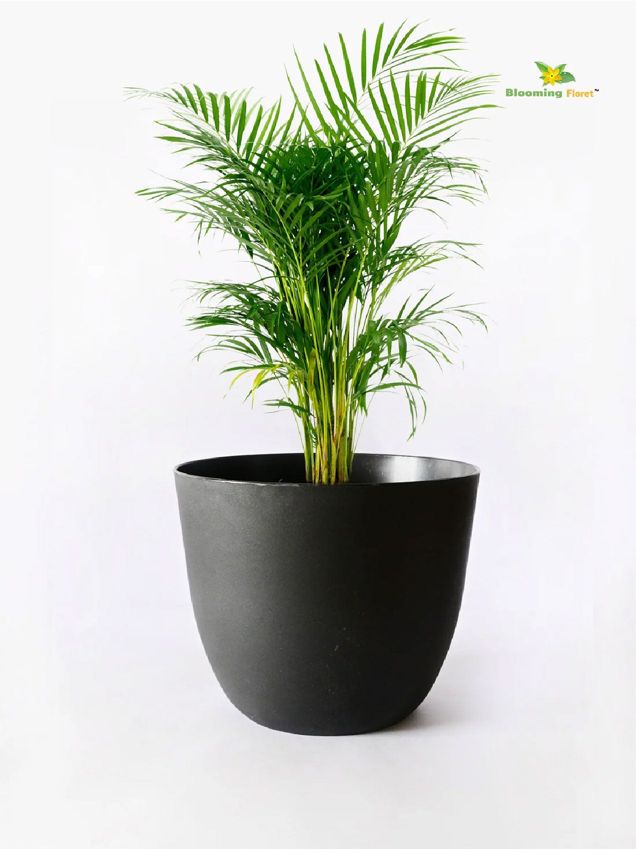 Black Round Planter