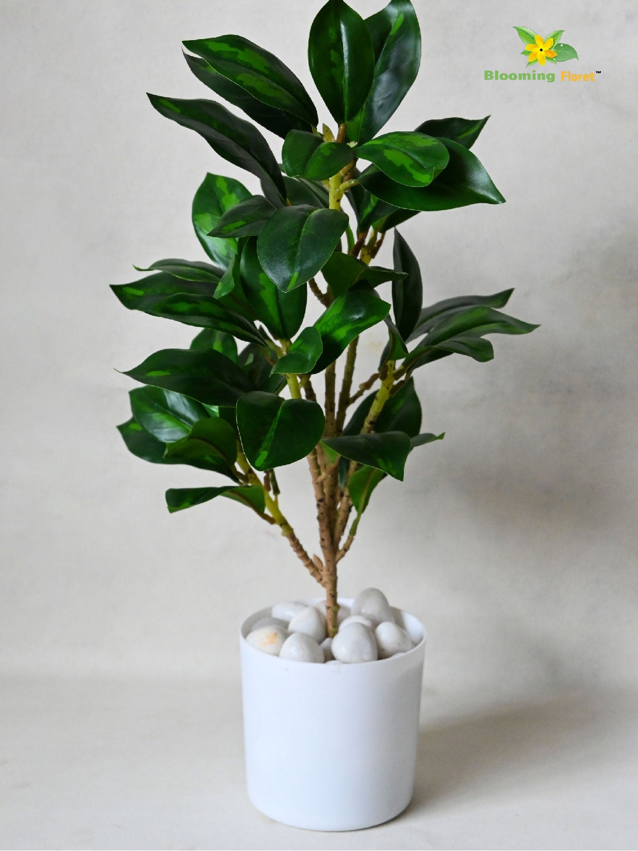 Artificial Zamioculcas Zamiifolia Dark Green Plant – 45 cm, with Basic Pot
