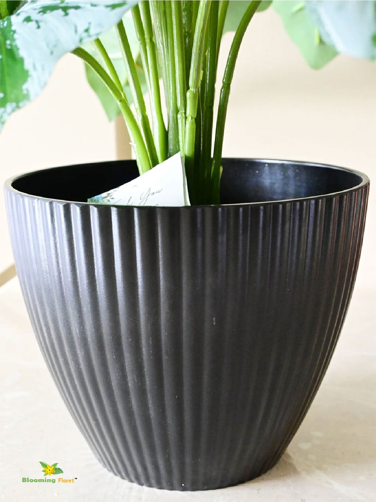 Elegant Ribbed Melamine Pot - Black and White