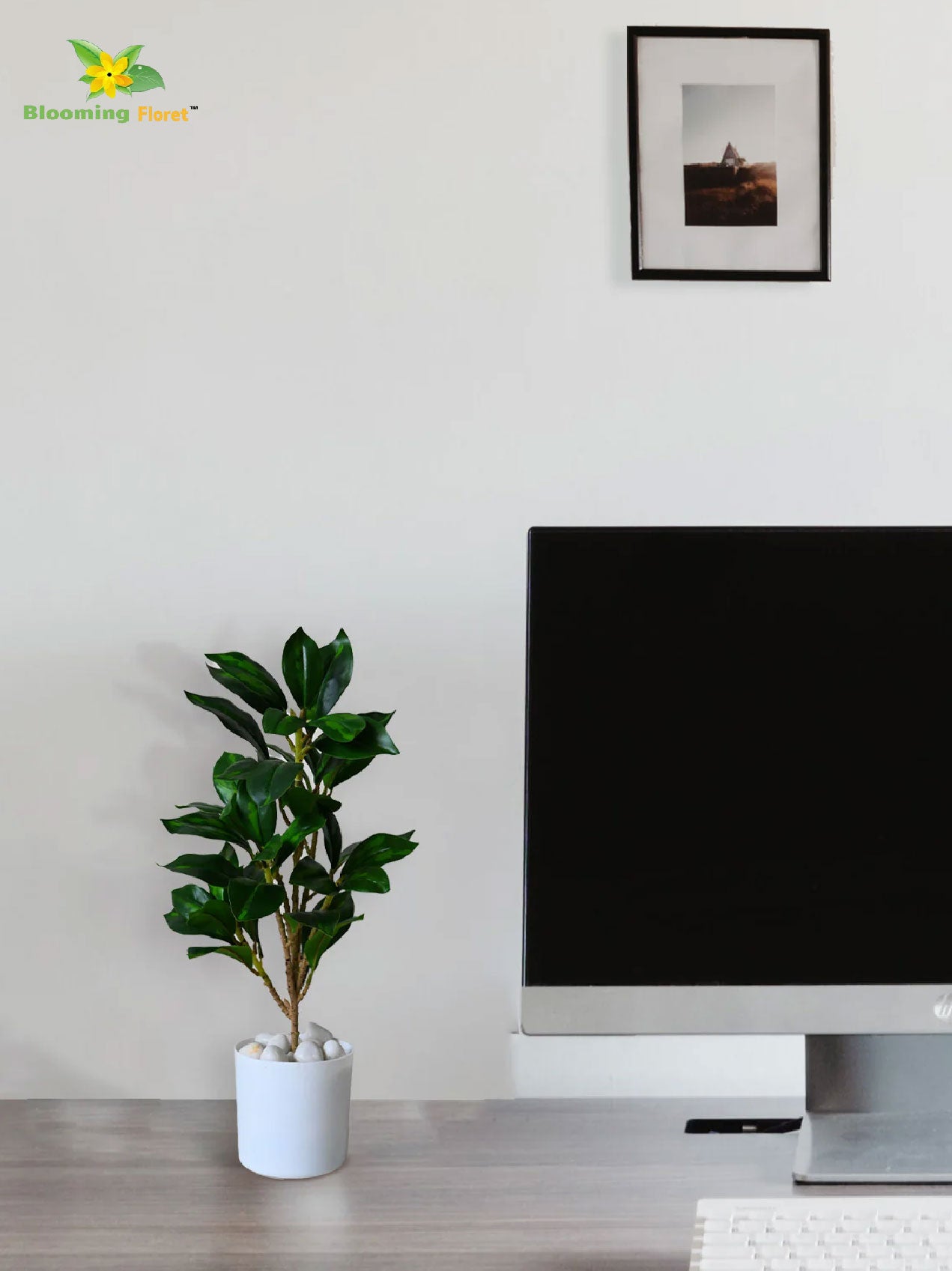 Artificial Zamioculcas Zamiifolia Dark Green Plant – 45 cm, with Basic Pot