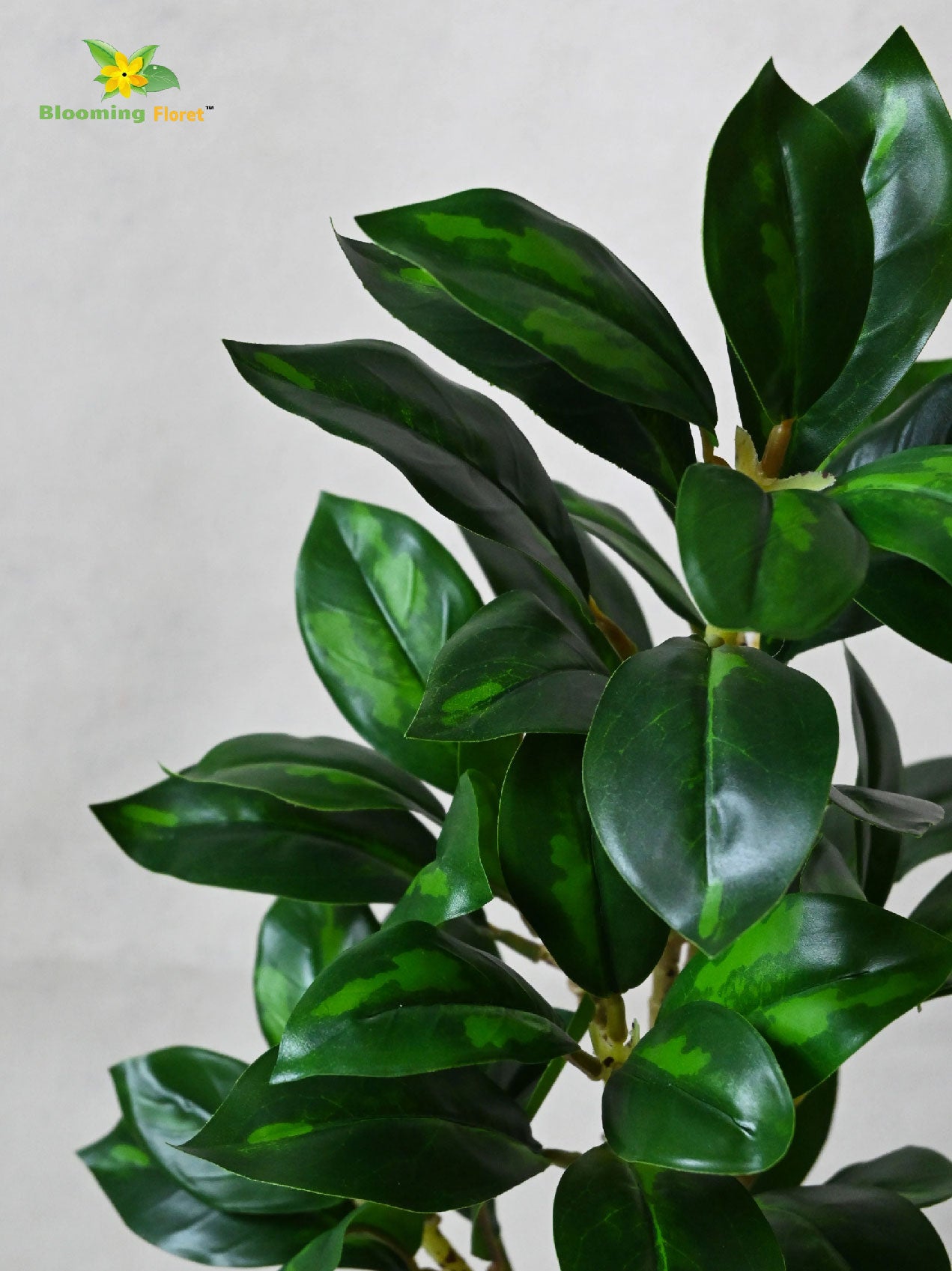 Artificial Zamioculcas Zamiifolia Dark Green Plant – 45 cm, with Basic Pot