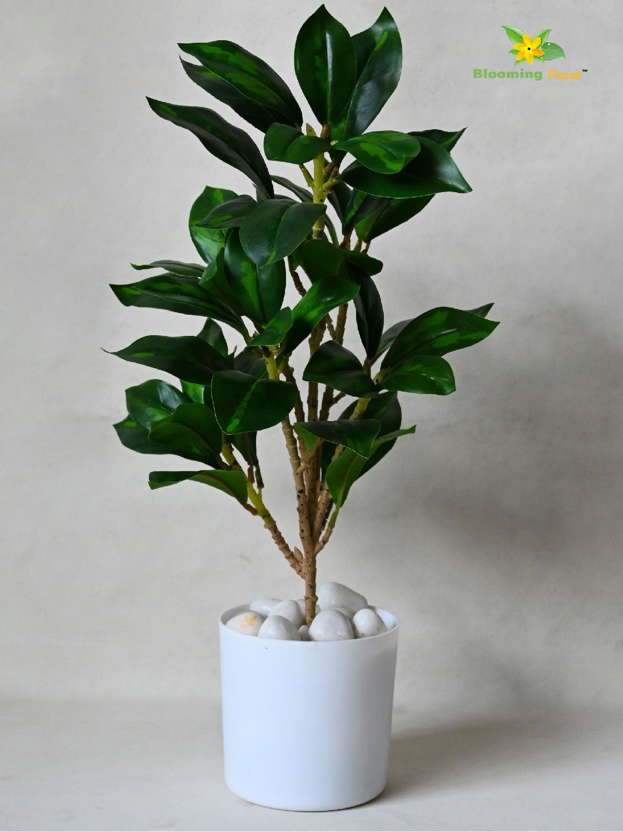 Artificial Zamioculcas Zamiifolia Dark Green Plant – 45 cm, with Basic Pot