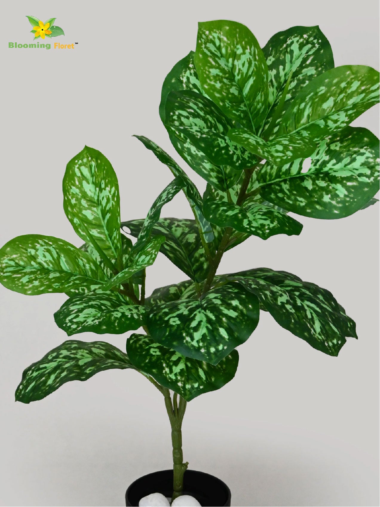 Artificial Aglaonema Plant – 74.9 cm, 24 Leaves, with Basic Pot