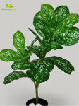 Artificial Aglaonema Plant – 74.9 cm, 24 Leaves, with Basic Pot