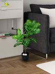 Artificial Aglaonema Plant – 74.9 cm, 24 Leaves, with Basic Pot