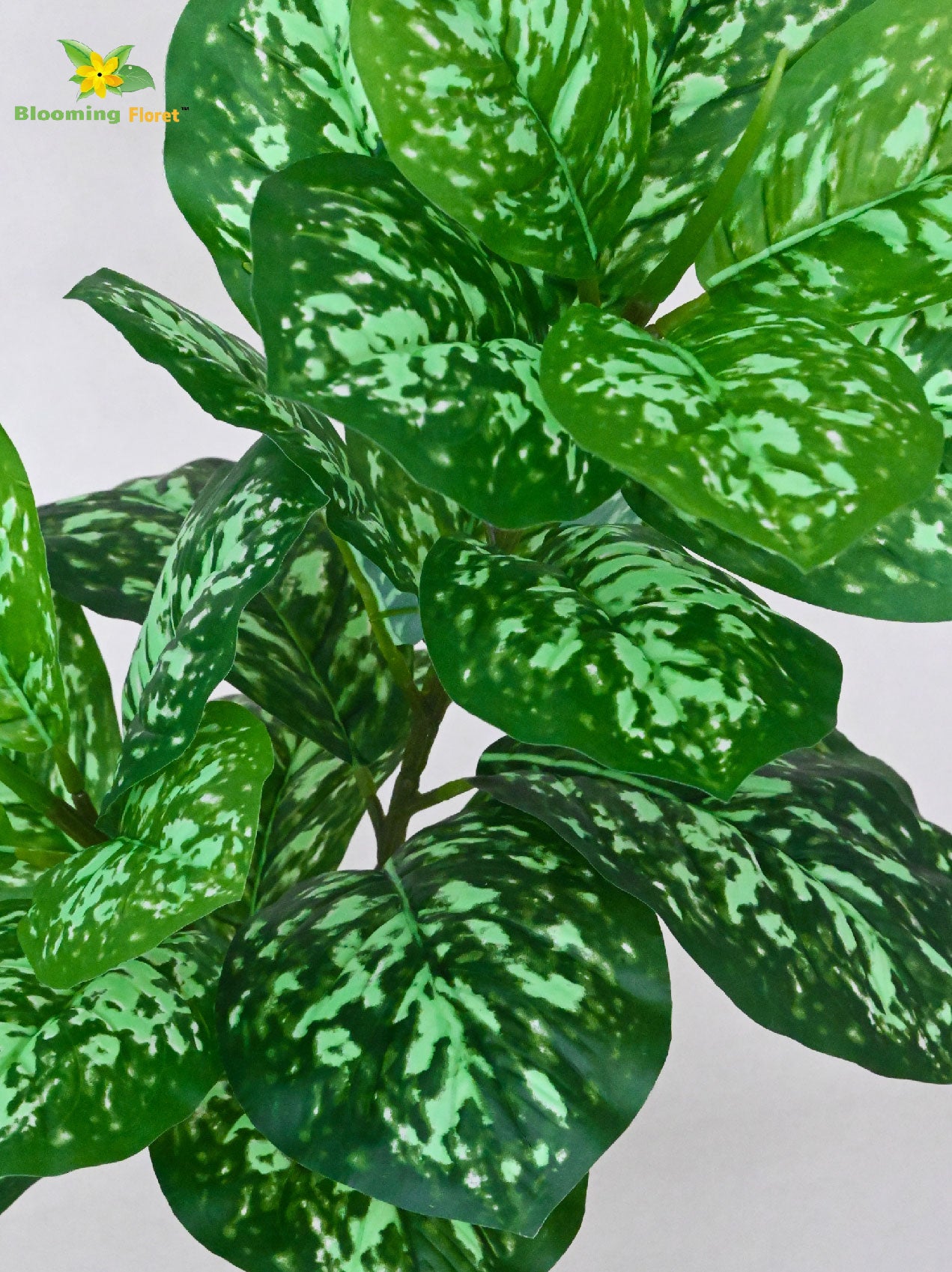 Artificial Aglaonema Plant – 74.9 cm, 24 Leaves, with Basic Pot