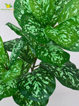 Artificial Aglaonema Plant – 74.9 cm, 24 Leaves, with Basic Pot