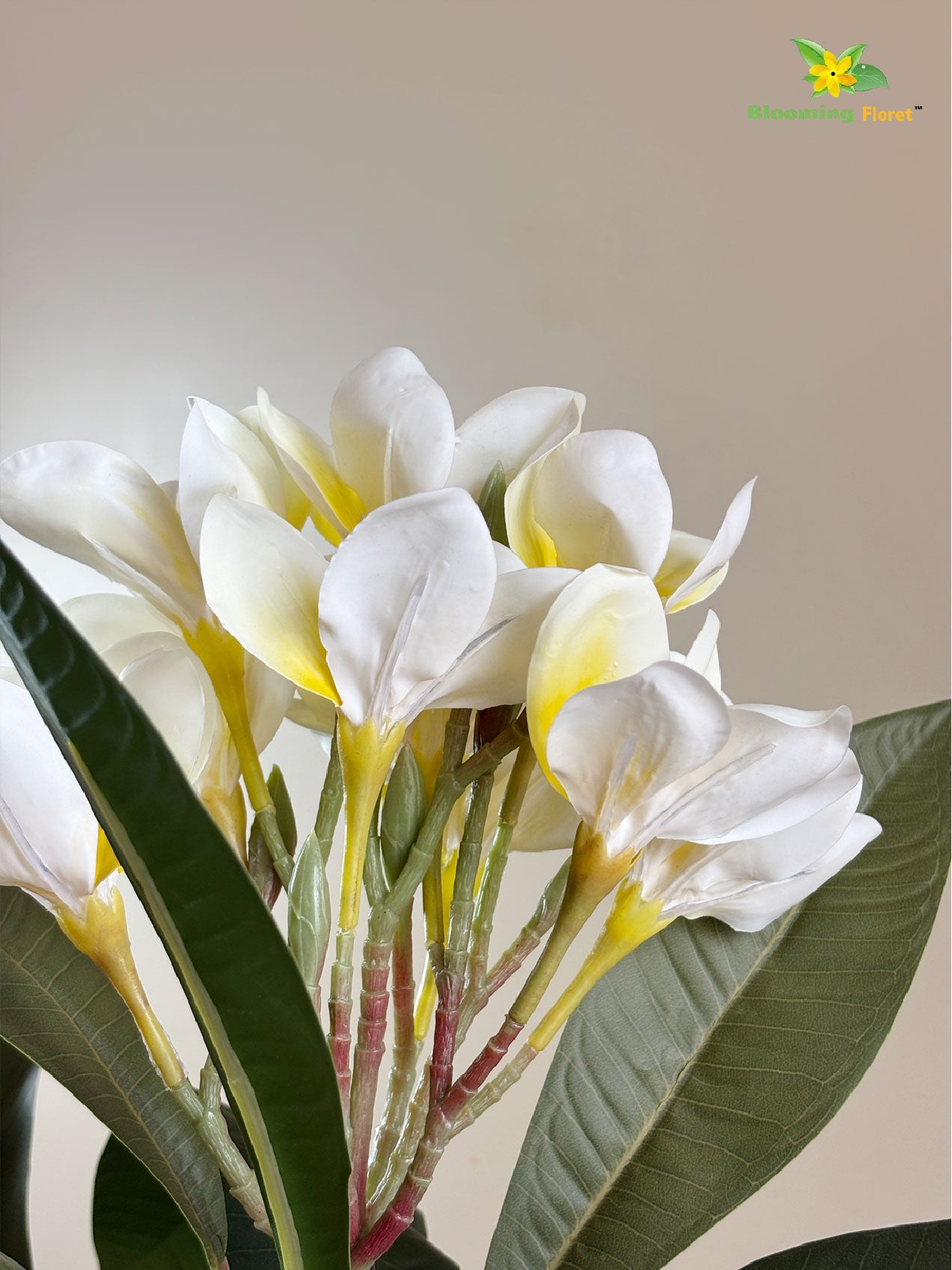 Plumeria (Frangipani) Flower Stick - White