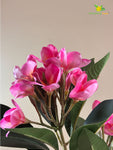 Plumeria (Frangipani) Flower Stick - Cherry Red