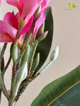 Plumeria (Frangipani) Flower Stick - Cherry Red